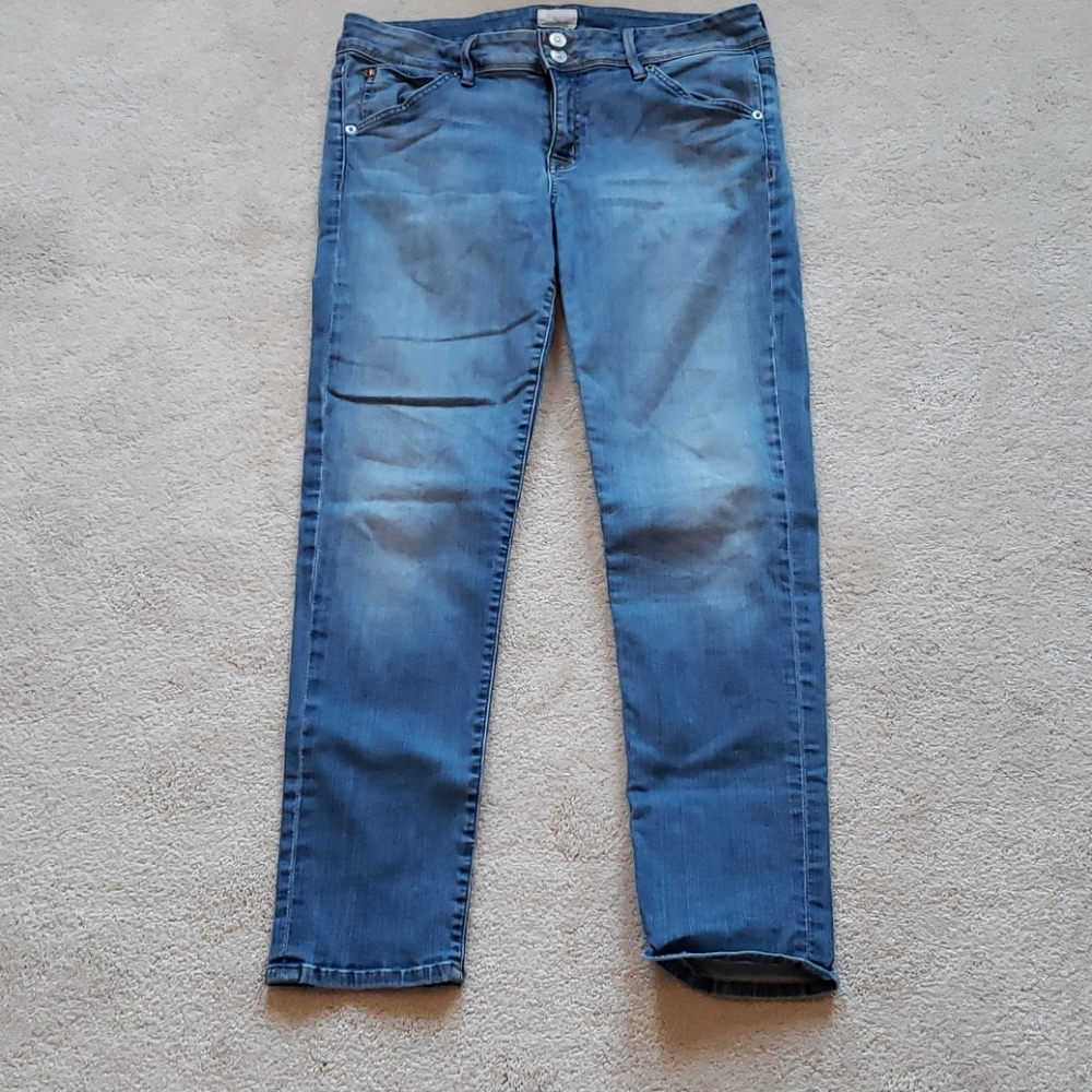 Hudson Size 32 Skinny Jeans.  GUC!